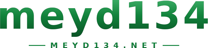 meyd134 logo